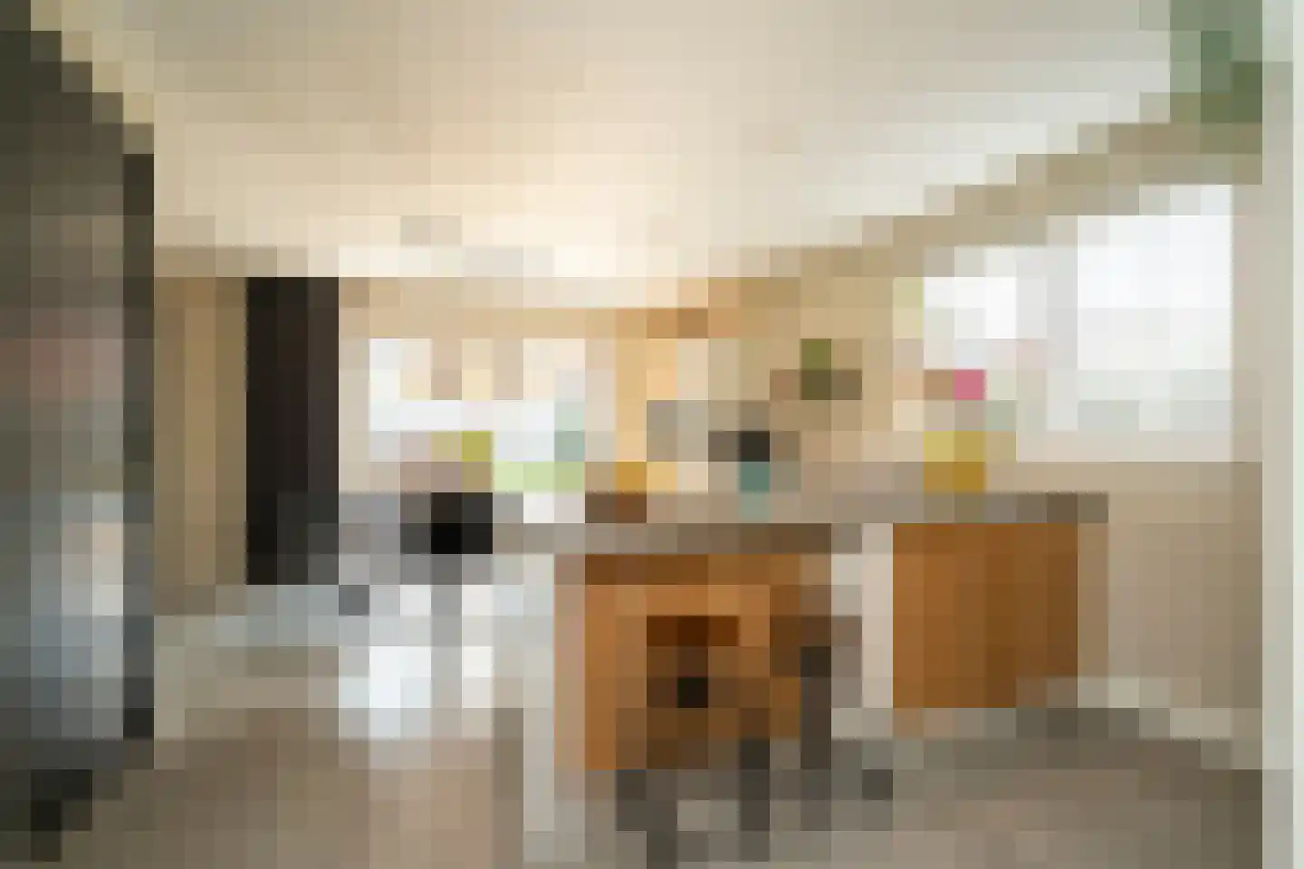 Pastoor Verstijnenstraat 5 Haghorst thumbnail 16