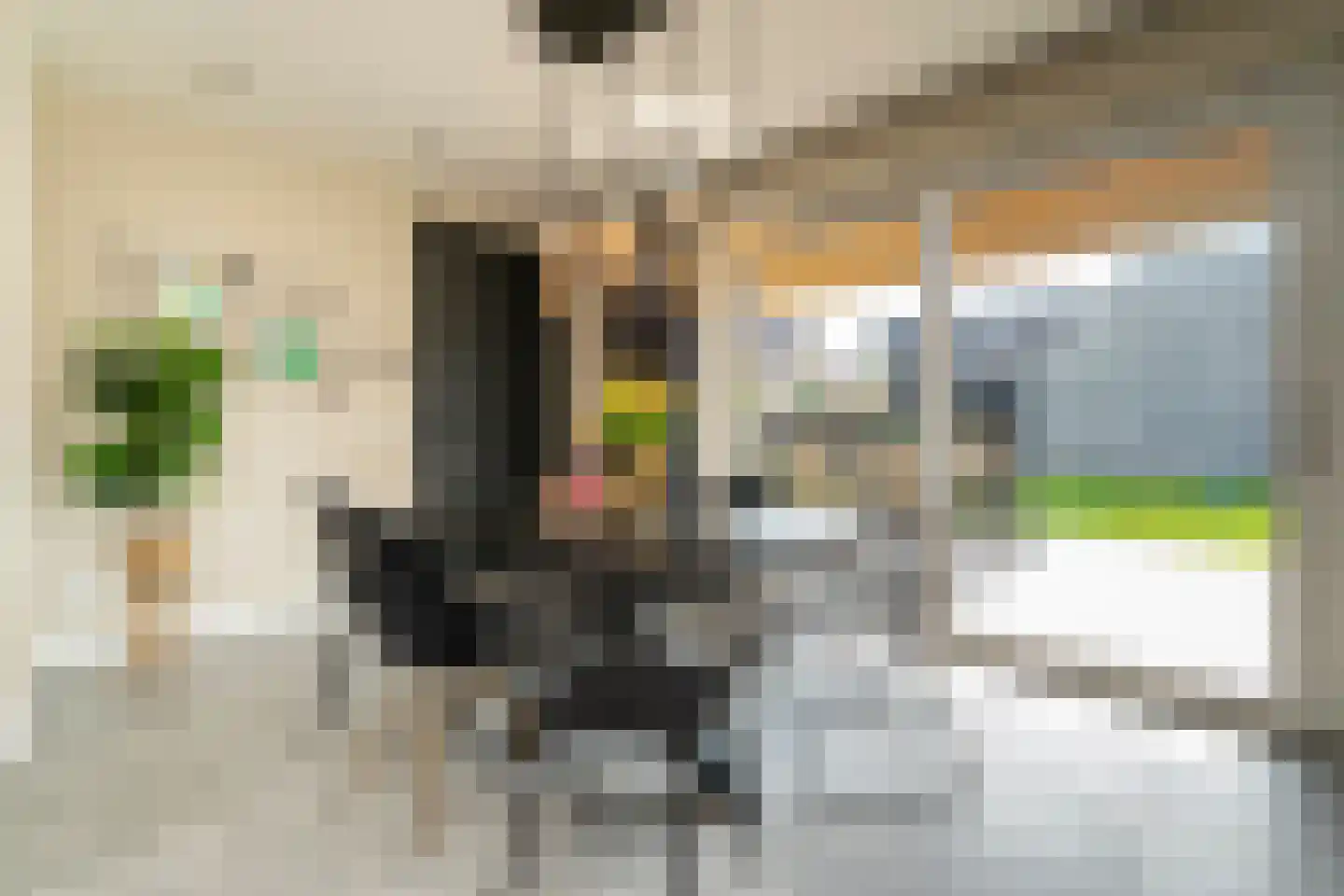 Pastoor Verstijnenstraat 5 Haghorst thumbnail 20