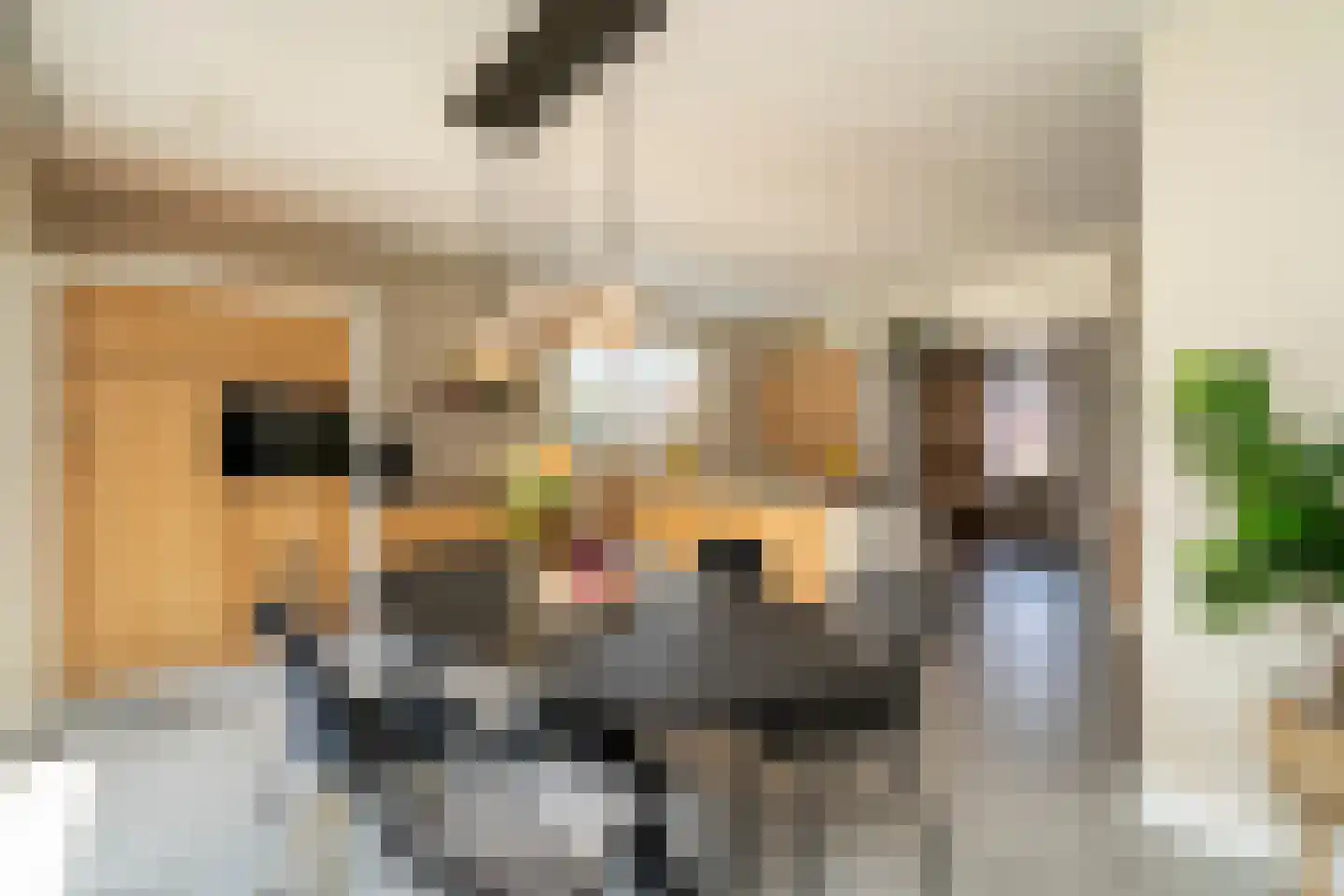 Pastoor Verstijnenstraat 5 Haghorst thumbnail 21