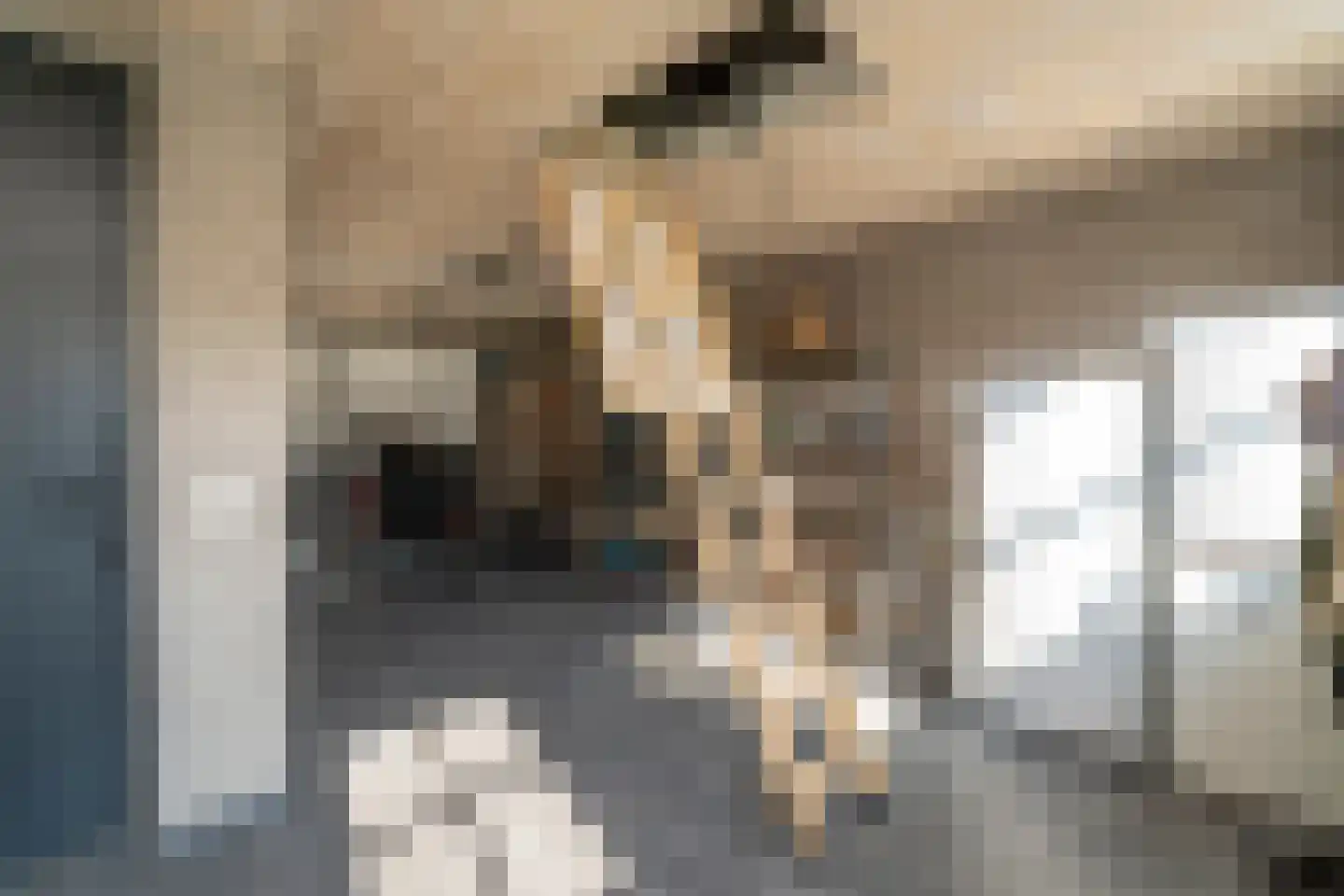 Pastoor Verstijnenstraat 5 Haghorst thumbnail 26