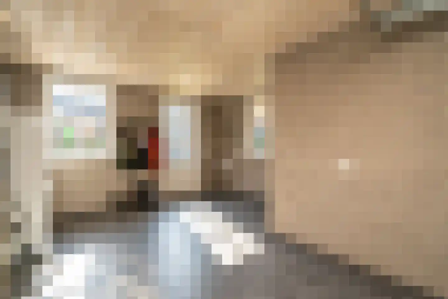 Pastoor Verstijnenstraat 5 Haghorst thumbnail 28