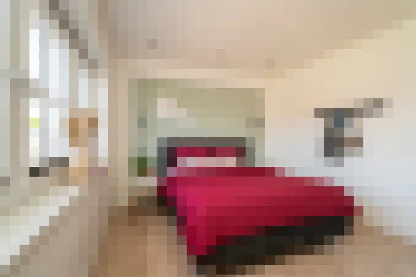 Pastoor Verstijnenstraat 5 Haghorst thumbnail 32