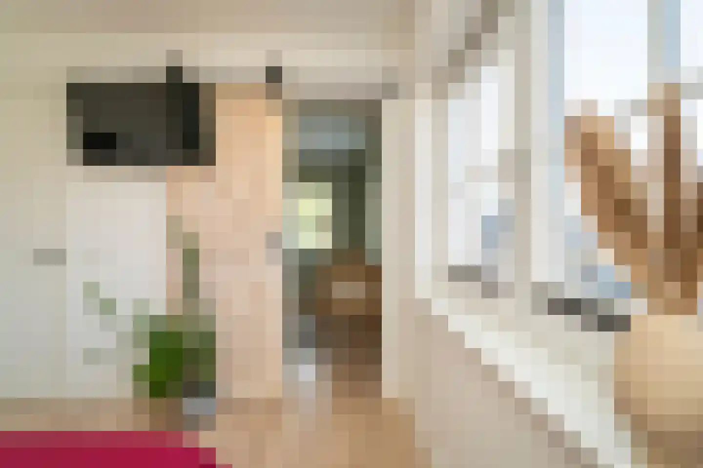 Pastoor Verstijnenstraat 5 Haghorst thumbnail 34