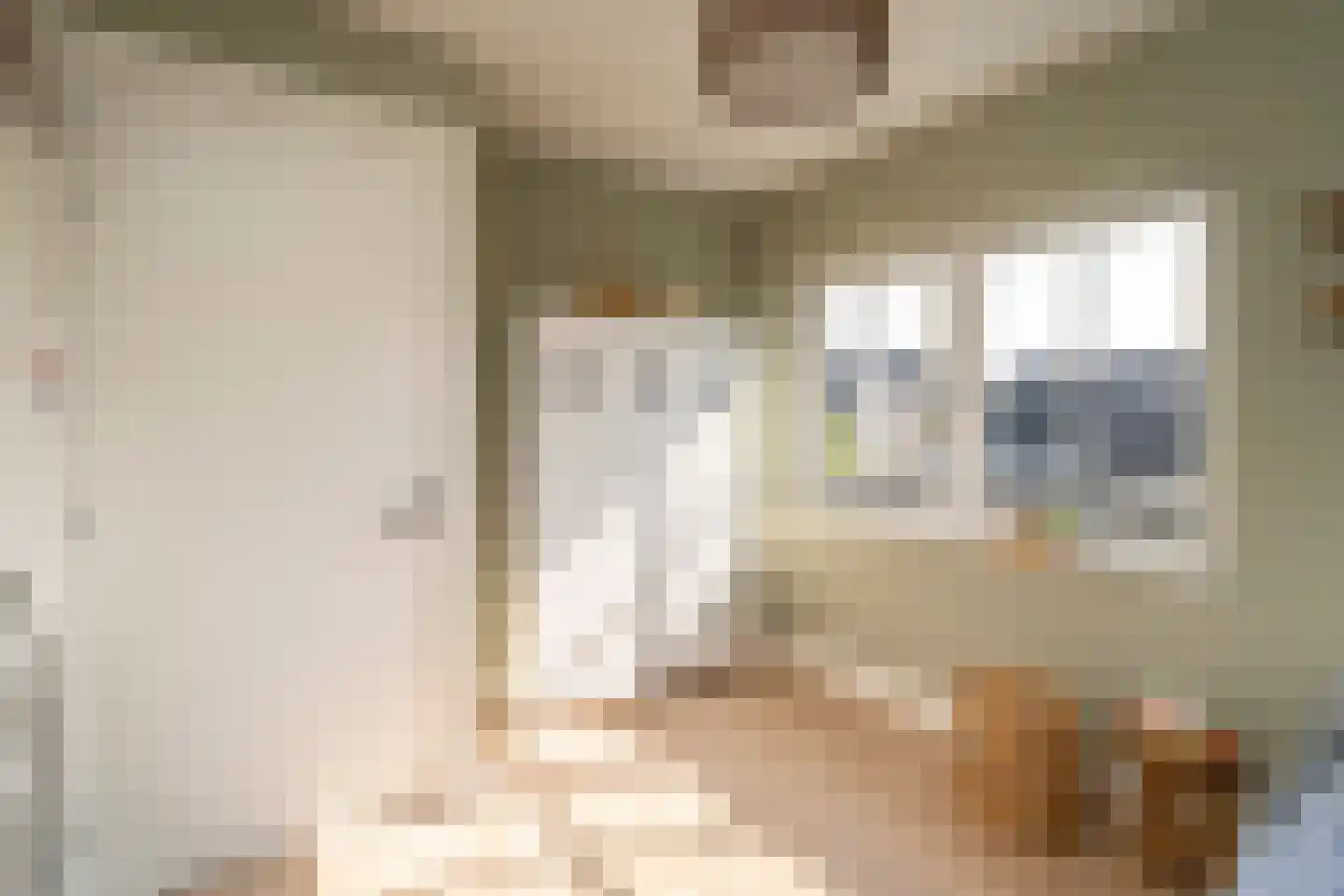 Pastoor Verstijnenstraat 5 Haghorst thumbnail 37
