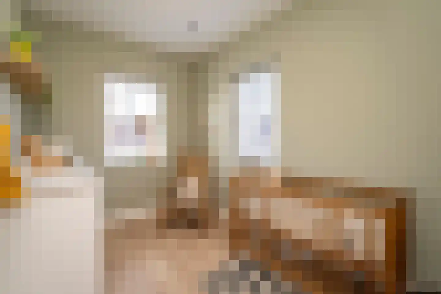 Pastoor Verstijnenstraat 5 Haghorst thumbnail 41