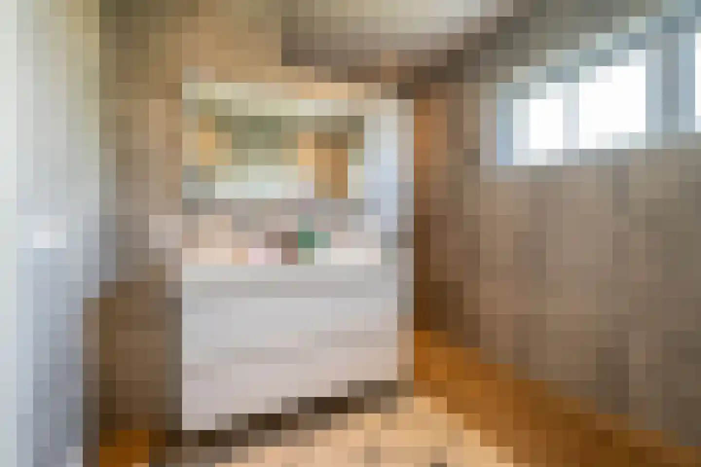 Pastoor Verstijnenstraat 5 Haghorst thumbnail 44