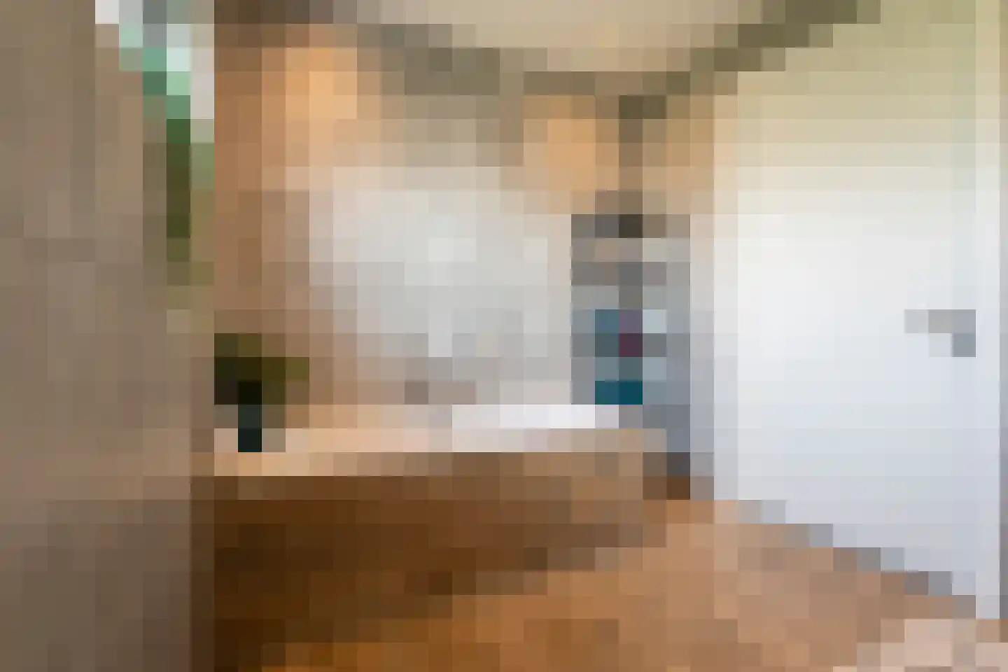 Pastoor Verstijnenstraat 5 Haghorst thumbnail 45
