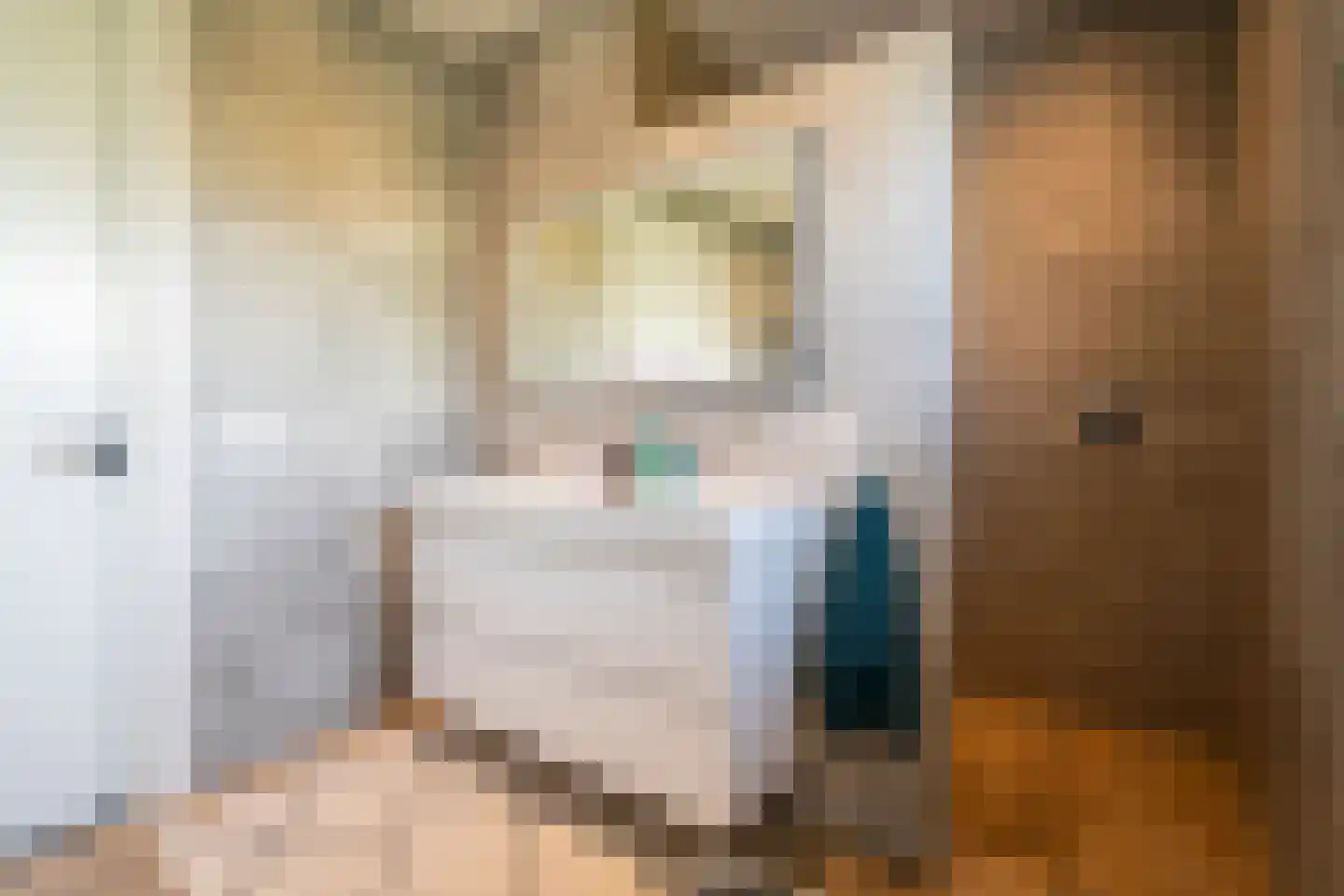 Pastoor Verstijnenstraat 5 Haghorst thumbnail 48