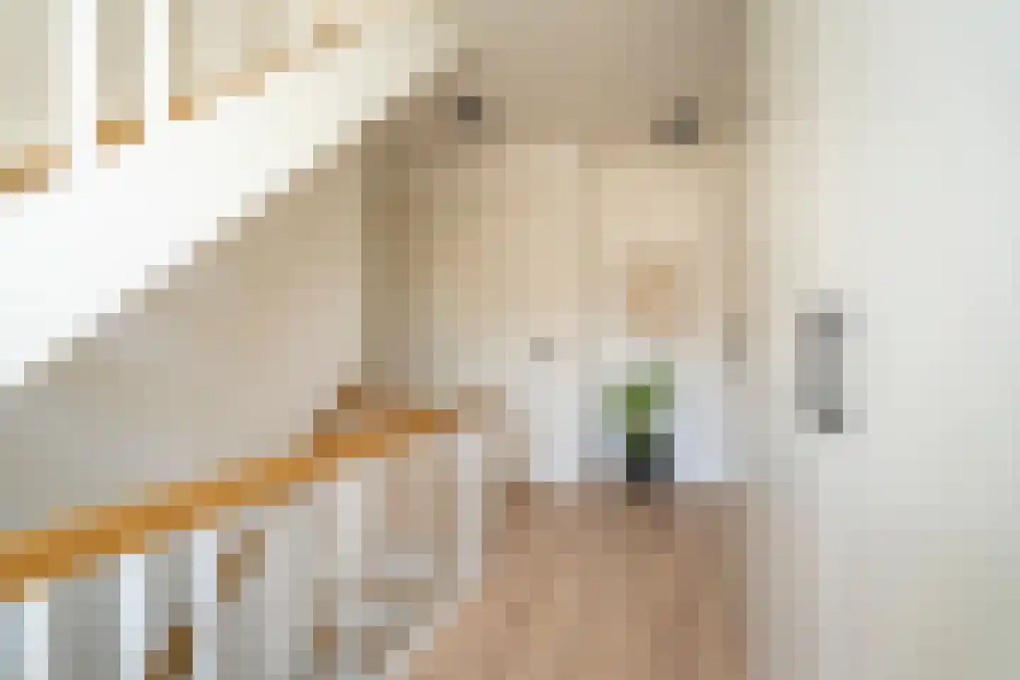 Pastoor Verstijnenstraat 5 Haghorst thumbnail 50