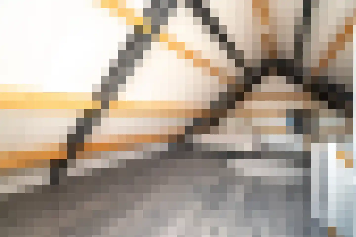 Pastoor Verstijnenstraat 5 Haghorst thumbnail 51