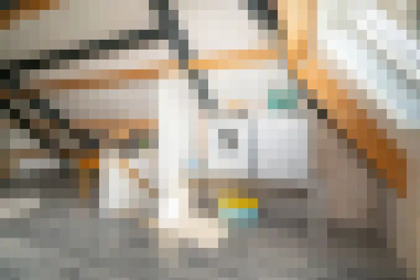 Pastoor Verstijnenstraat 5 Haghorst thumbnail 52