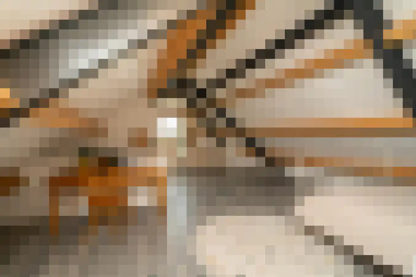 Pastoor Verstijnenstraat 5 Haghorst thumbnail 53