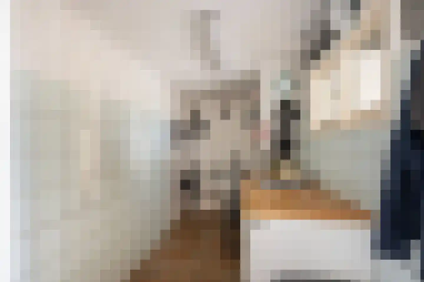 Pastoor Vinkesteynstraat 1 Kwintsheul thumbnail 13