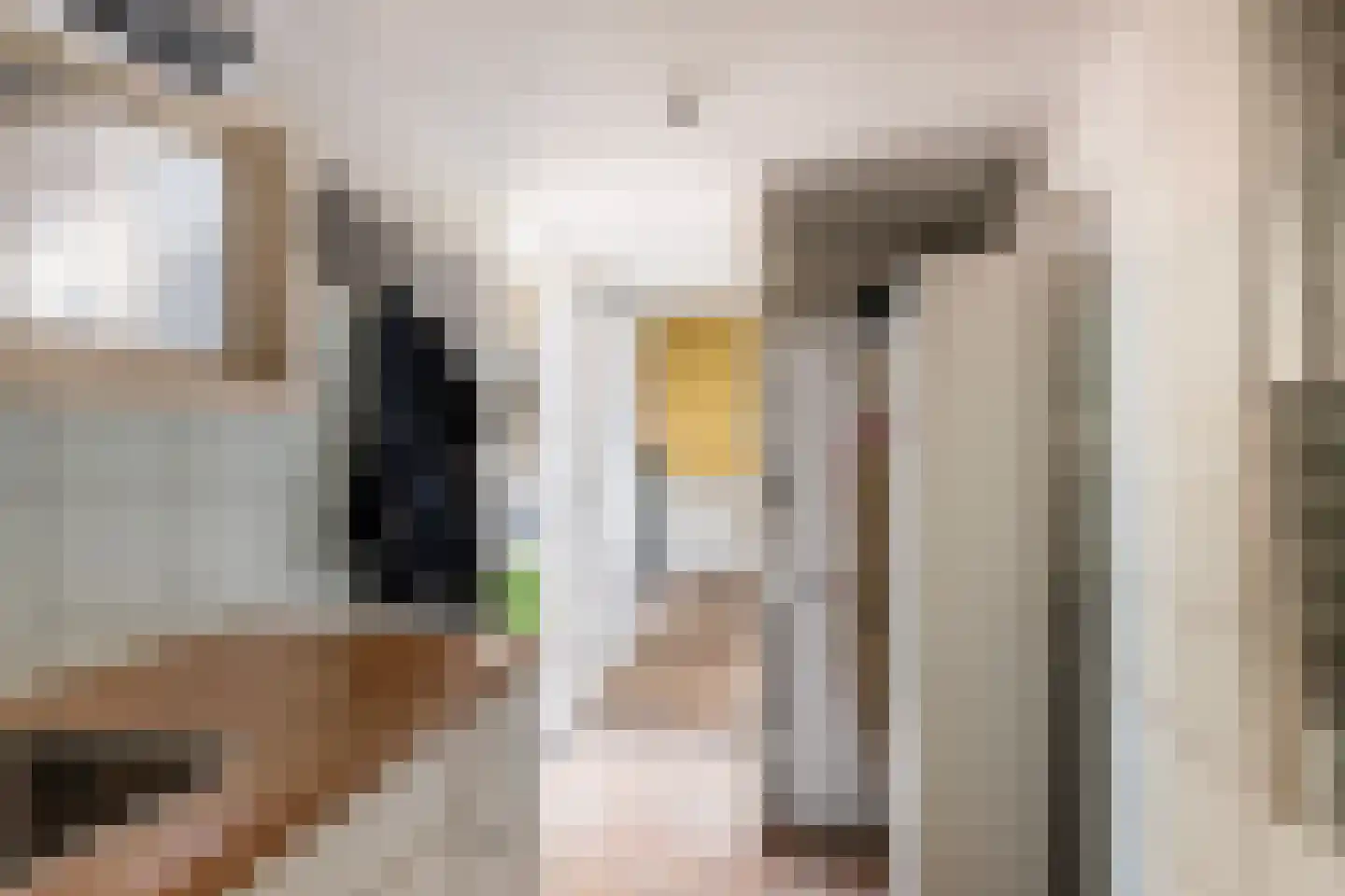 Pastoor Vinkesteynstraat 1 Kwintsheul thumbnail 14