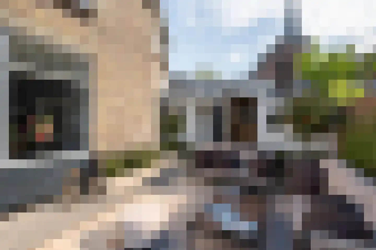 Pastoor Vinkesteynstraat 1 Kwintsheul thumbnail 15