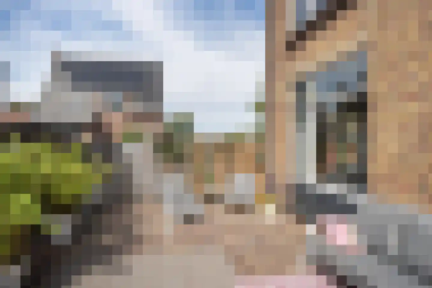 Pastoor Vinkesteynstraat 1 Kwintsheul thumbnail 17