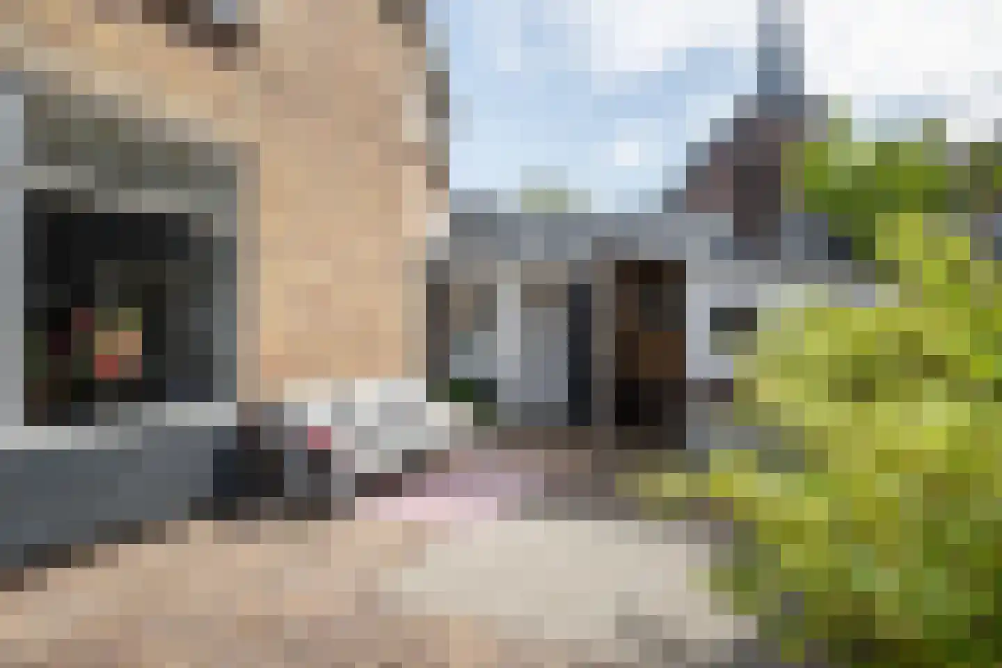 Pastoor Vinkesteynstraat 1 Kwintsheul thumbnail 18