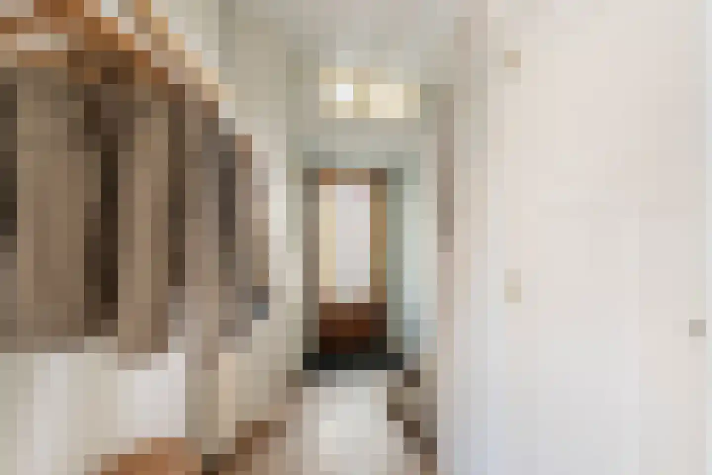 Pastoor Vinkesteynstraat 1 Kwintsheul thumbnail 19