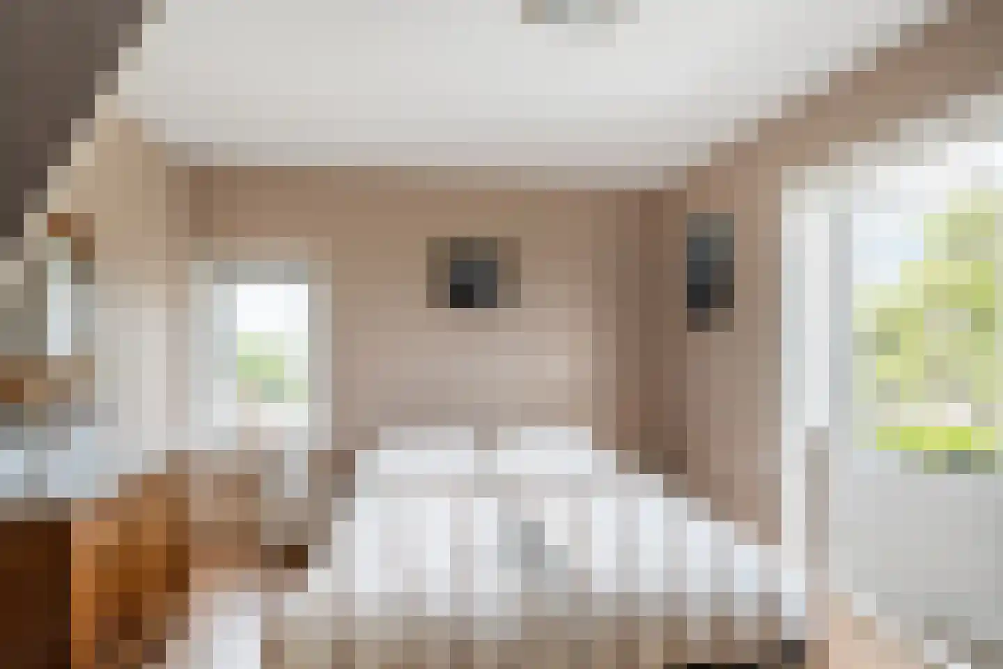 Pastoor Vinkesteynstraat 1 Kwintsheul thumbnail 23