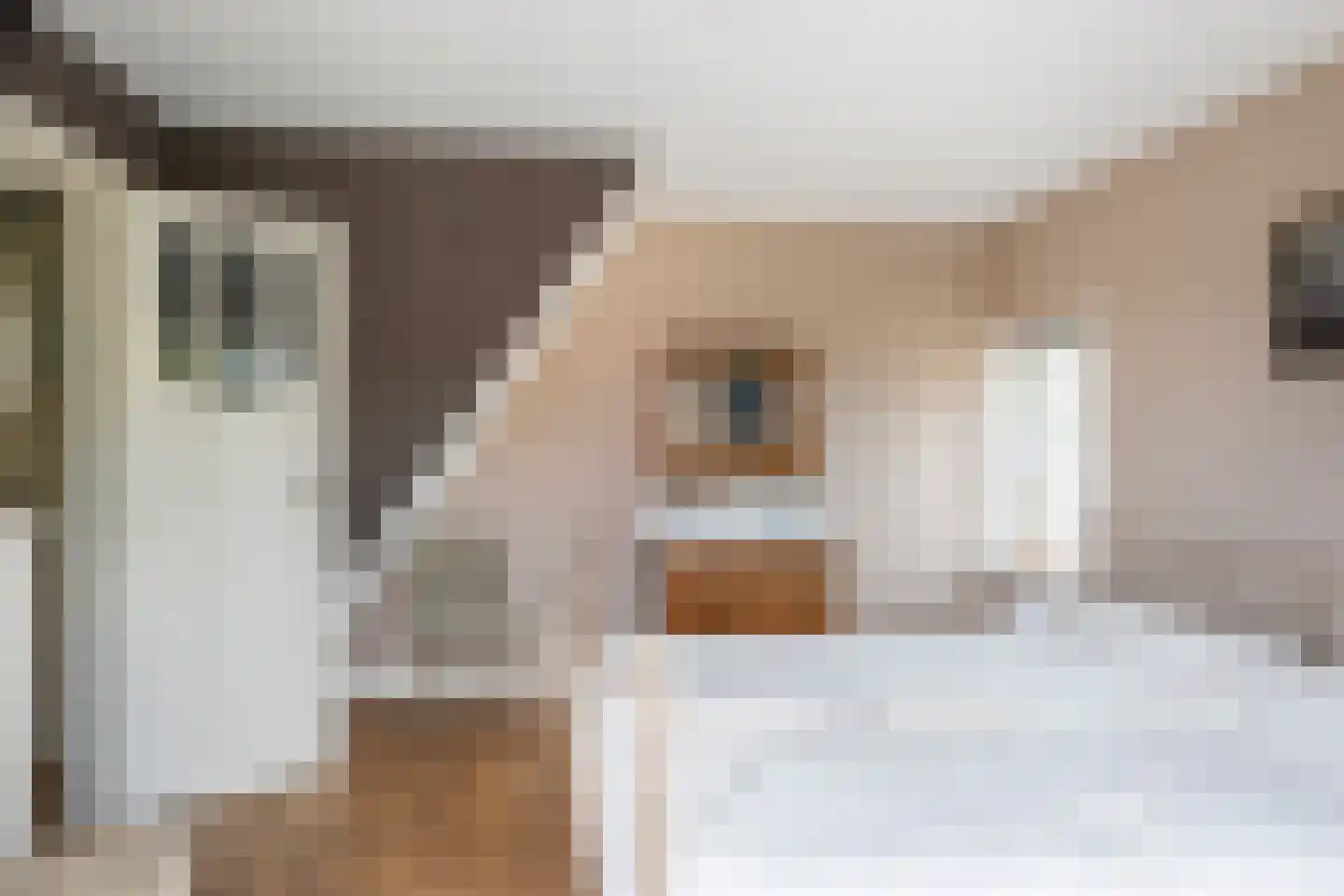 Pastoor Vinkesteynstraat 1 Kwintsheul thumbnail 26