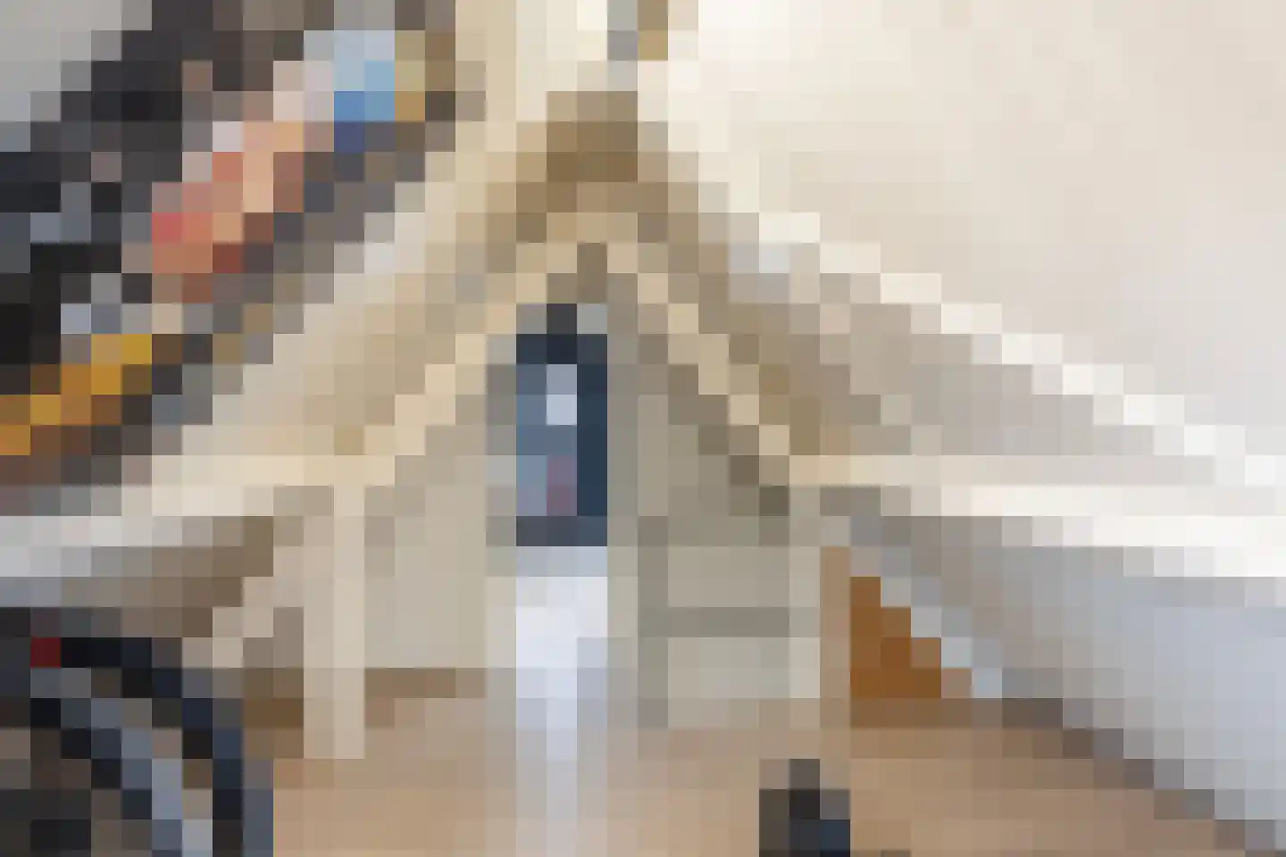 Pastoor Vinkesteynstraat 1 Kwintsheul thumbnail 35