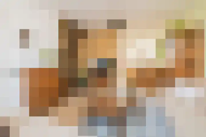 Pastoor Vinkesteynstraat 38 Kwintsheul thumbnail 4