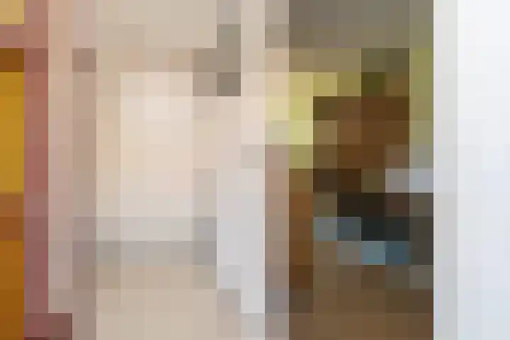 Pastoor Vinkesteynstraat 38 Kwintsheul thumbnail 6