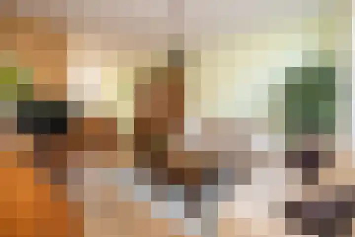 Pastoor Vinkesteynstraat 38 Kwintsheul thumbnail 7