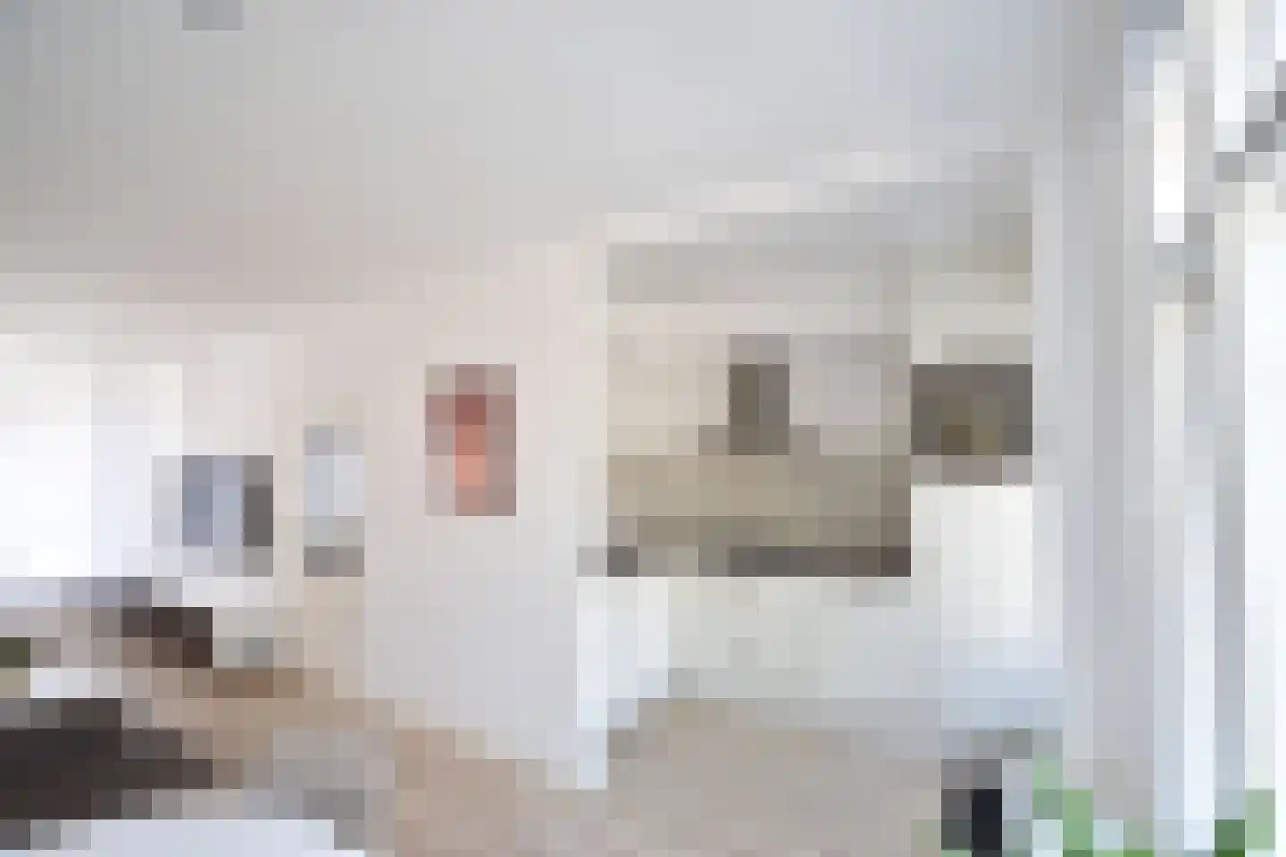 Pastoor Vinkesteynstraat 48 Kwintsheul thumbnail 11