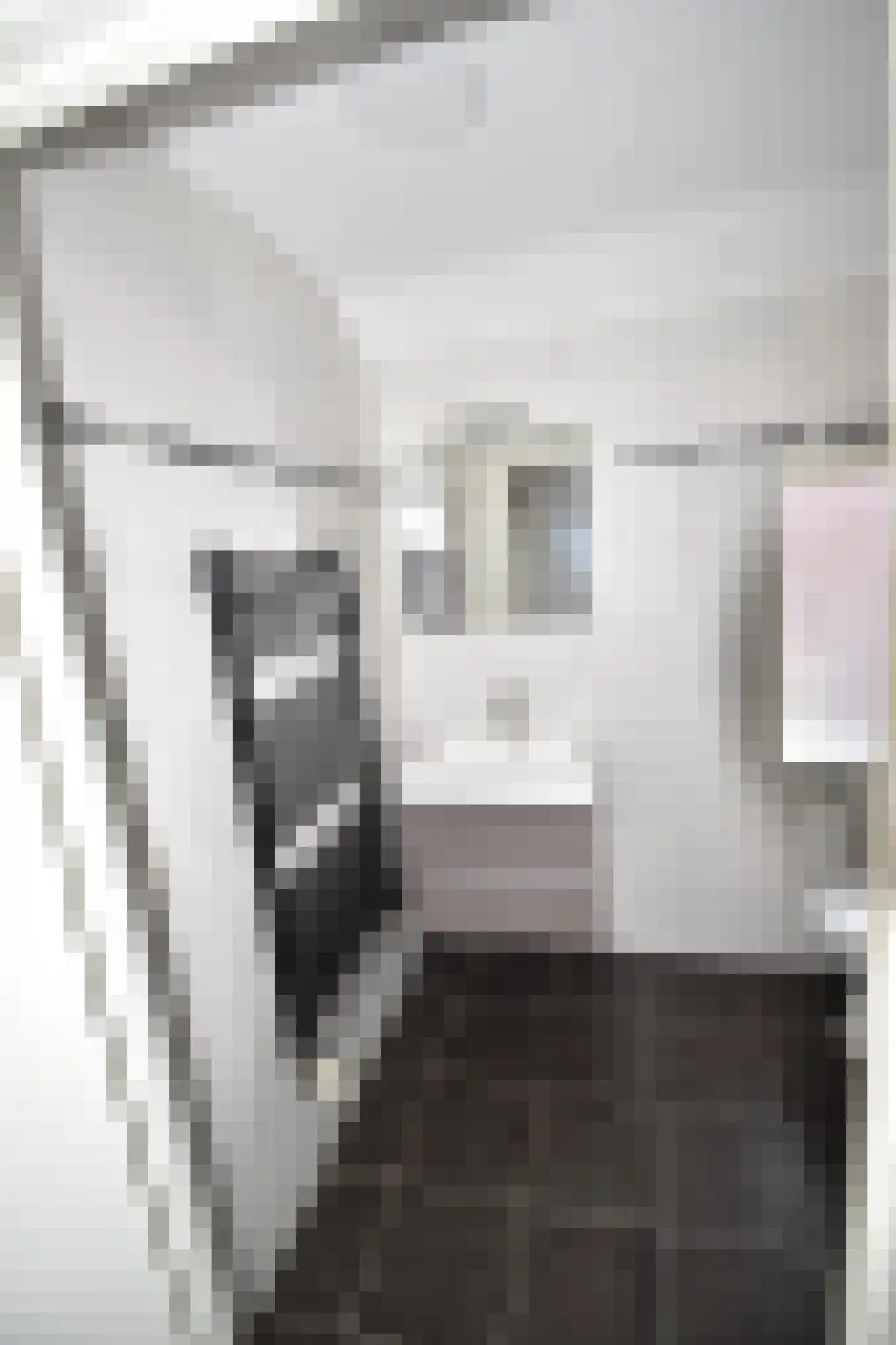 Pastoor Vinkesteynstraat 48 Kwintsheul thumbnail 16