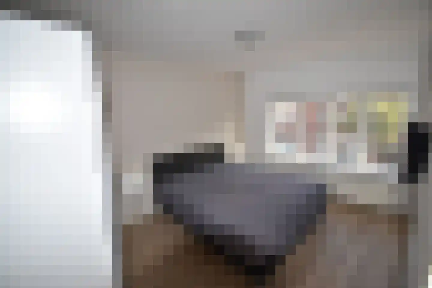 Pastoor Vinkesteynstraat 48 Kwintsheul thumbnail 18