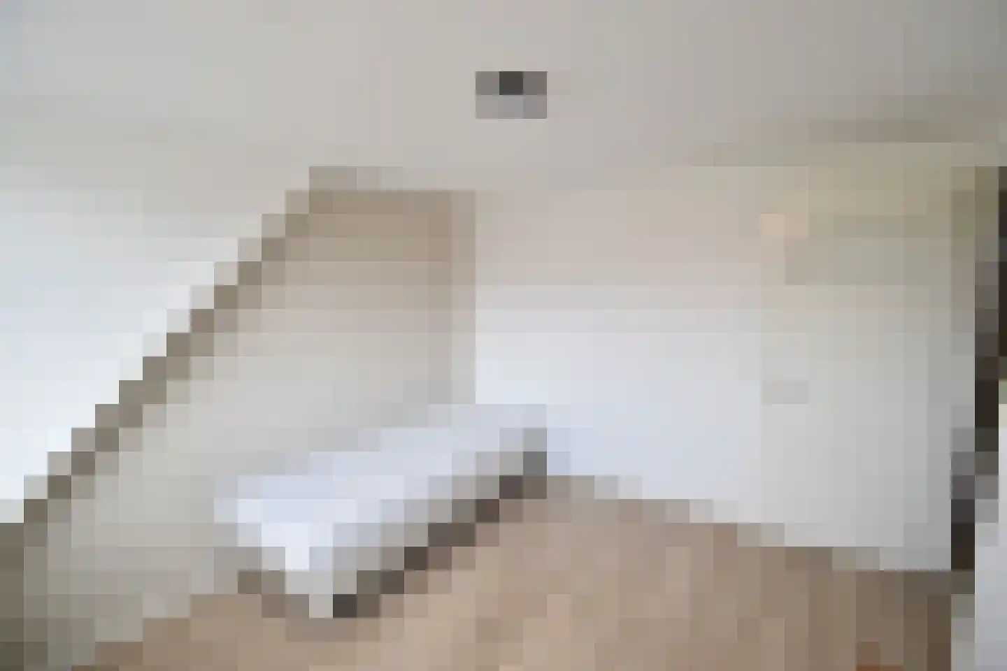 Pastoor Vinkesteynstraat 48 Kwintsheul thumbnail 22