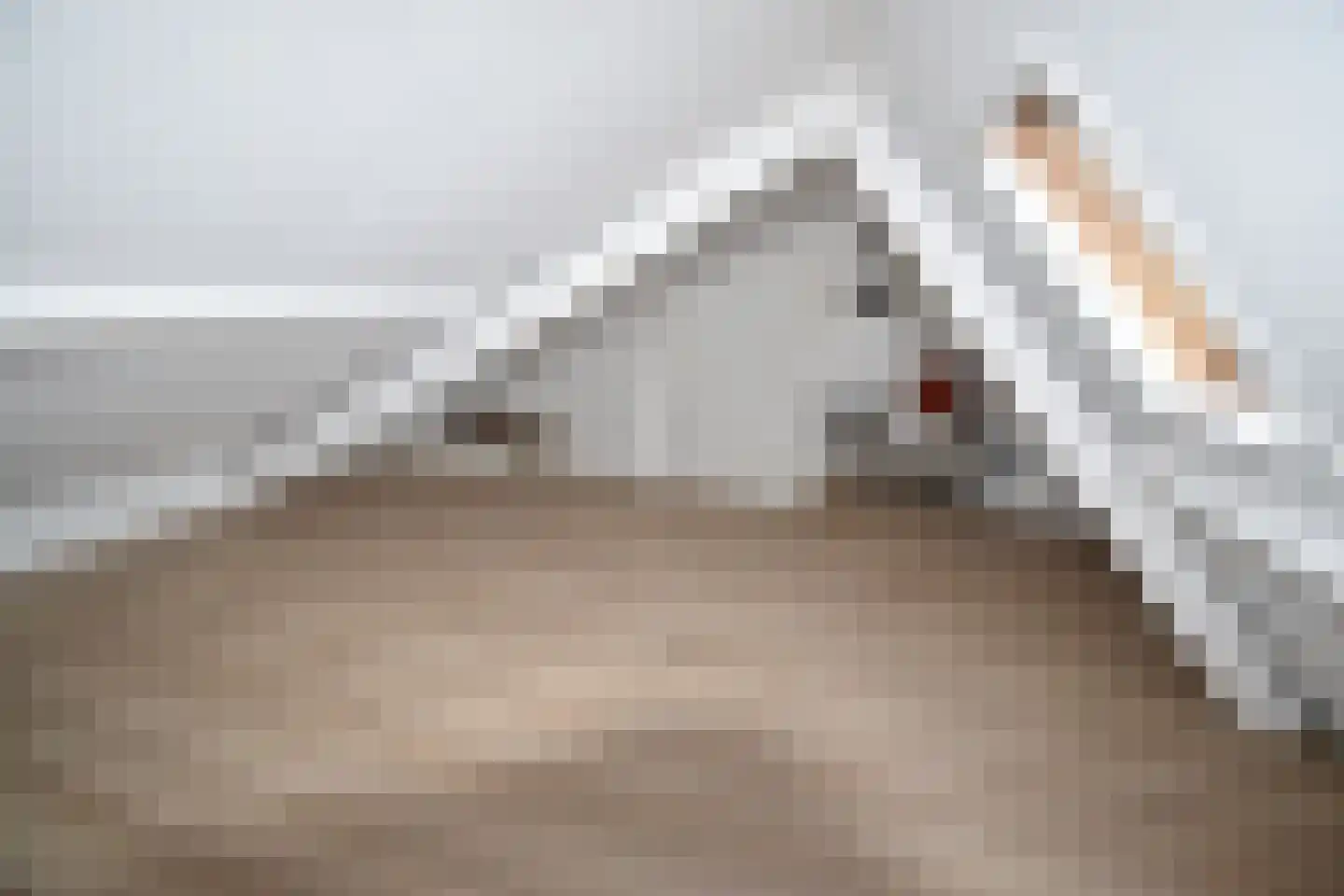 Pastoor Vinkesteynstraat 48 Kwintsheul thumbnail 25