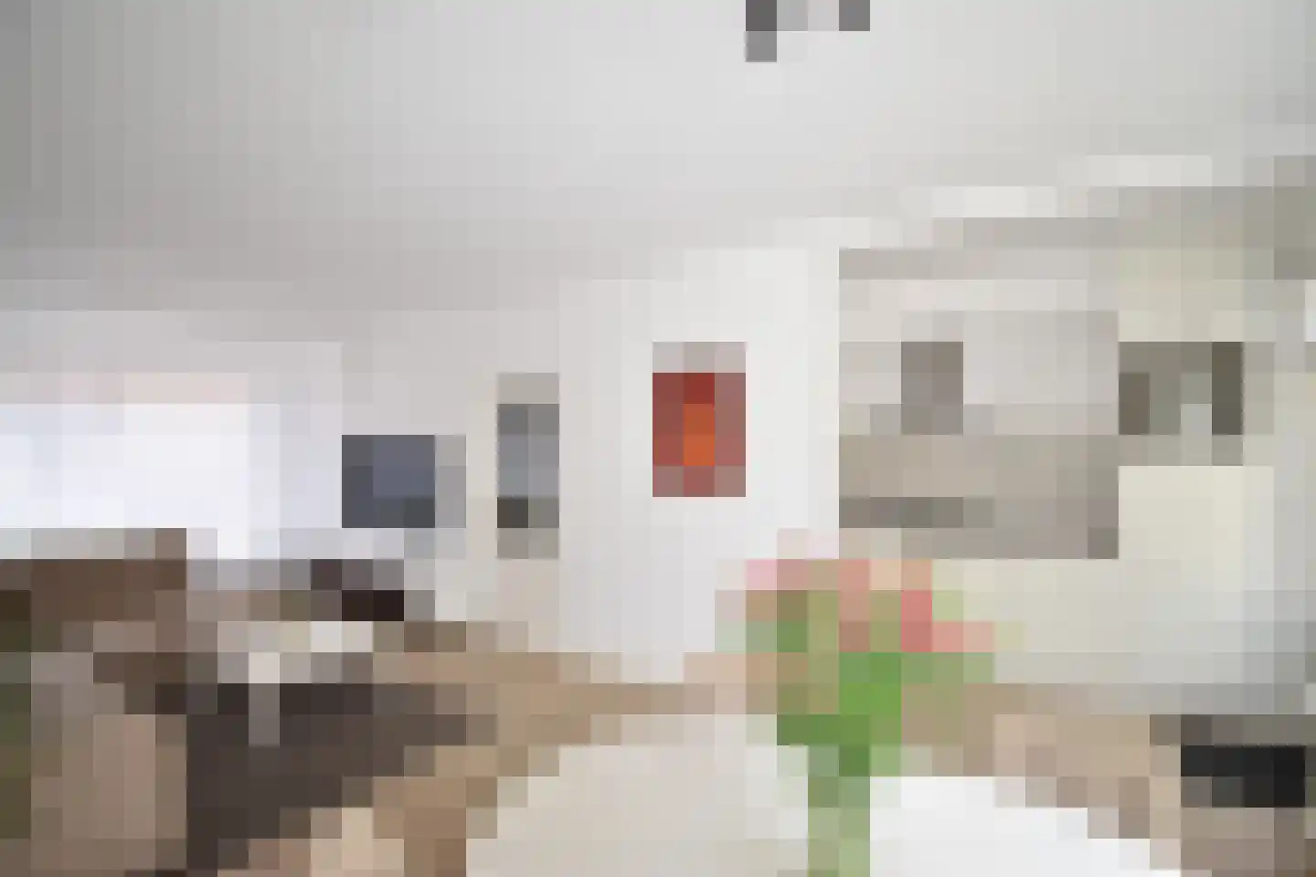 Pastoor Vinkesteynstraat 48 Kwintsheul thumbnail 4
