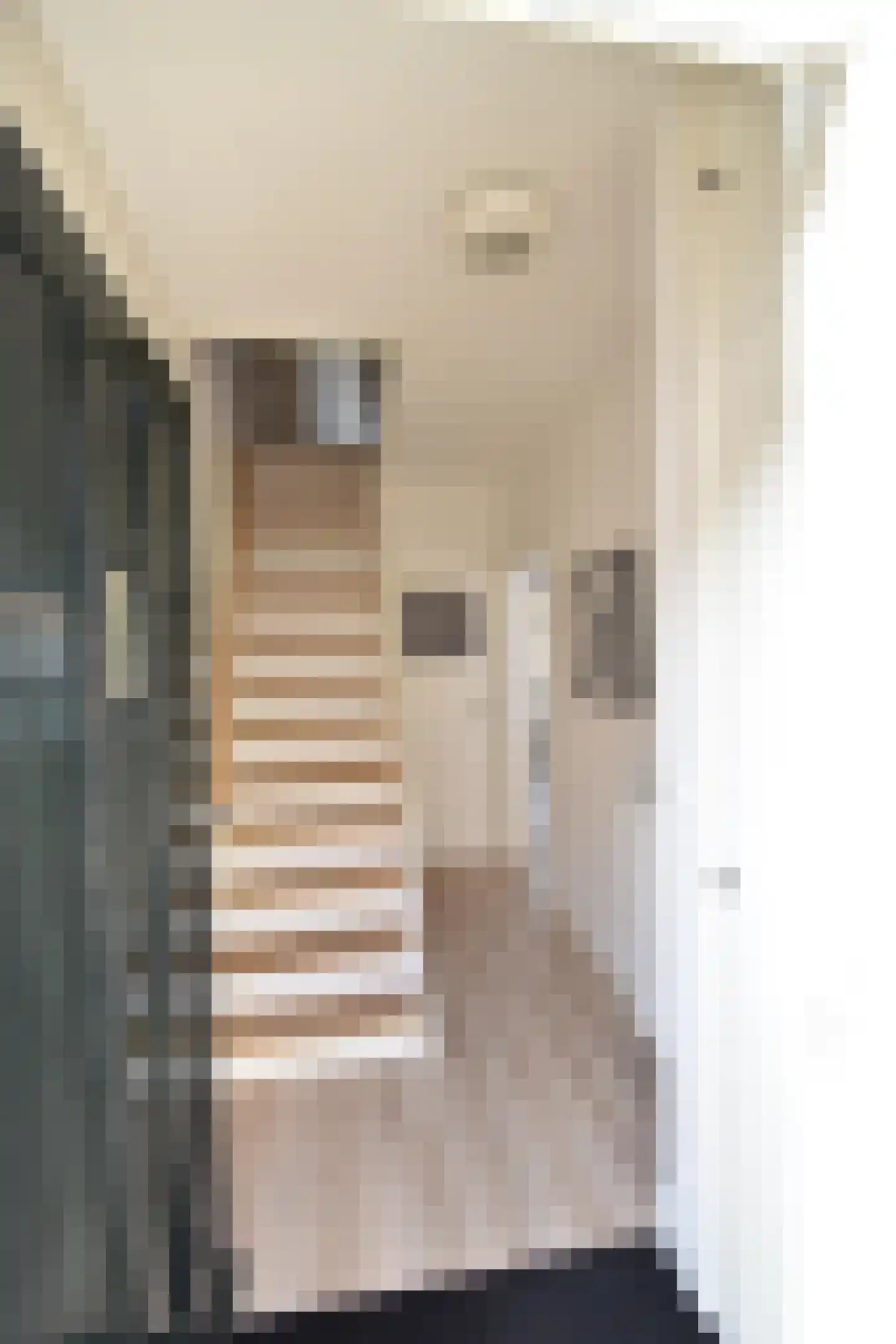 Pastoor Vinkesteynstraat 48 Kwintsheul thumbnail 5