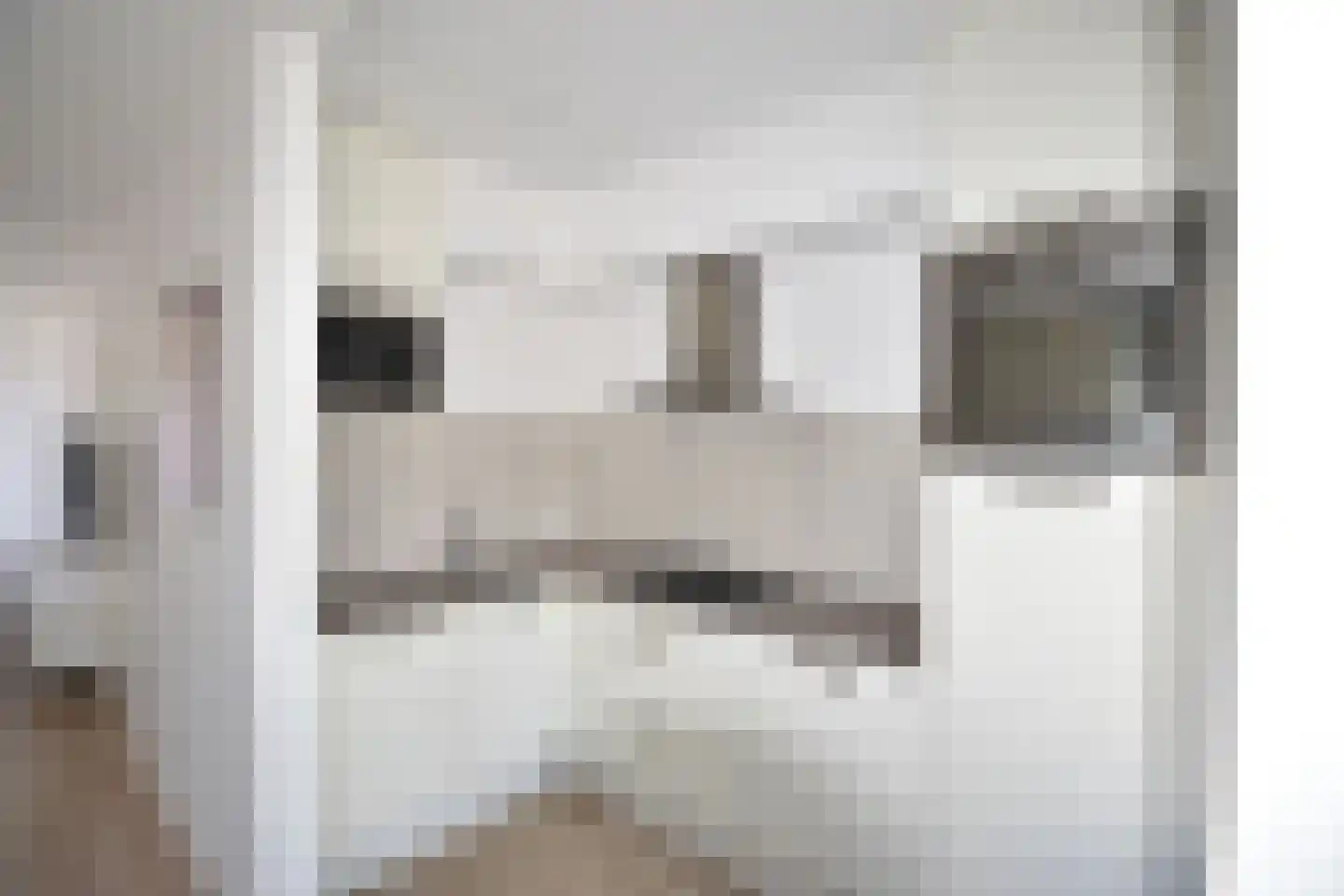 Pastoor Vinkesteynstraat 48 Kwintsheul thumbnail 6