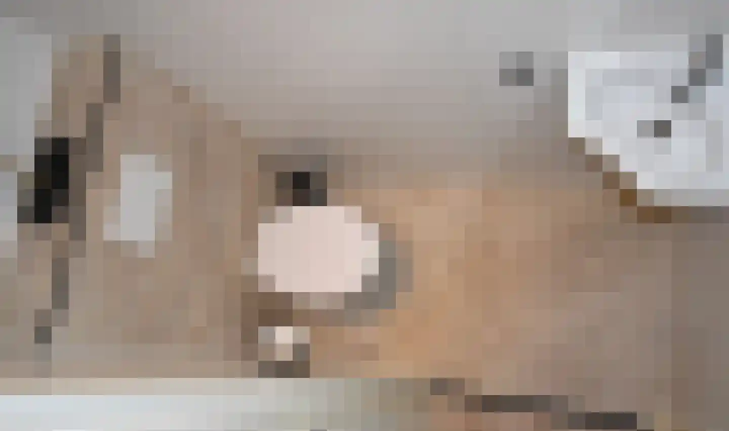 Pastoor Vinkesteynstraat 48 Kwintsheul thumbnail 7