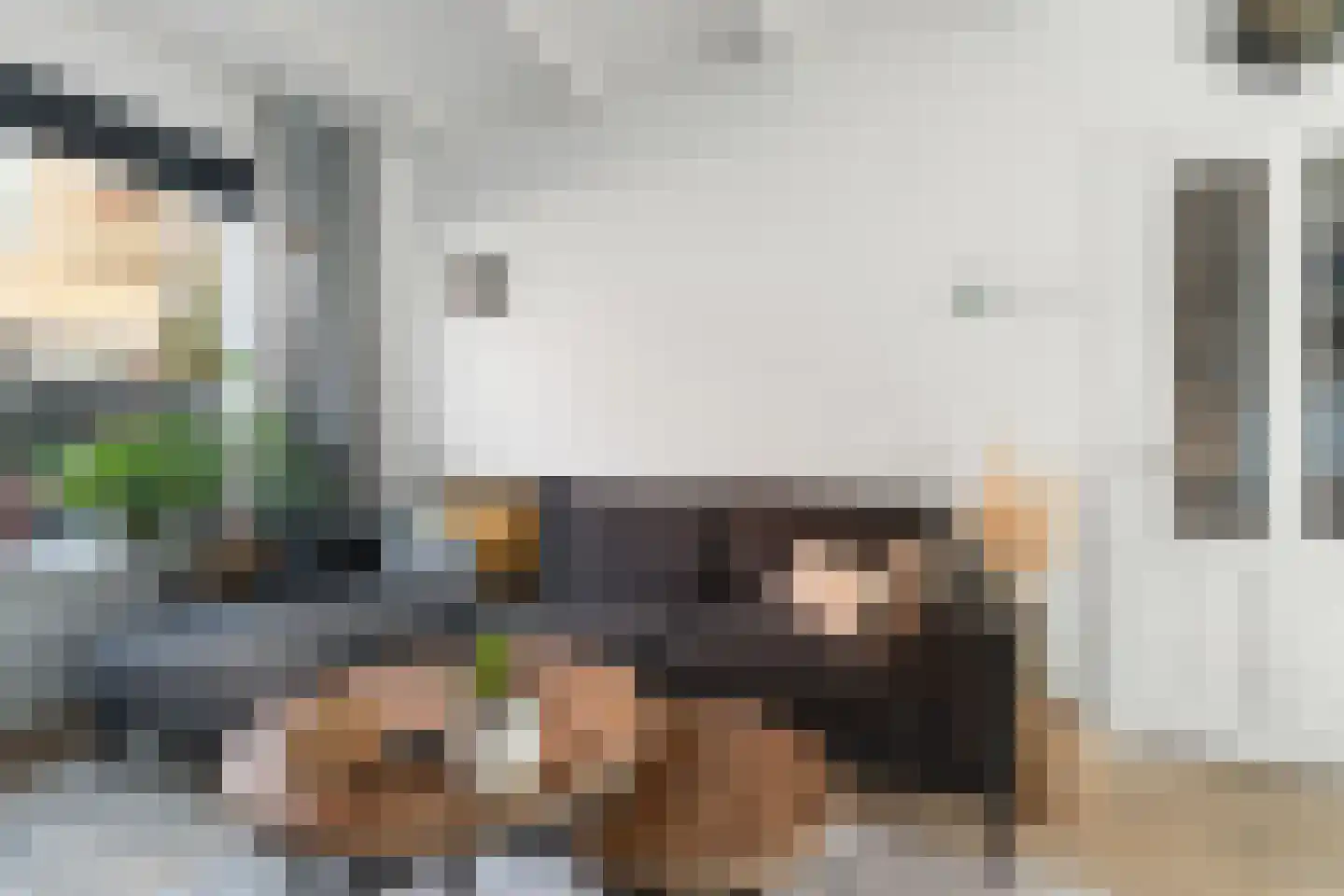 Pastoor Vinkesteynstraat 50 Kwintsheul thumbnail 12