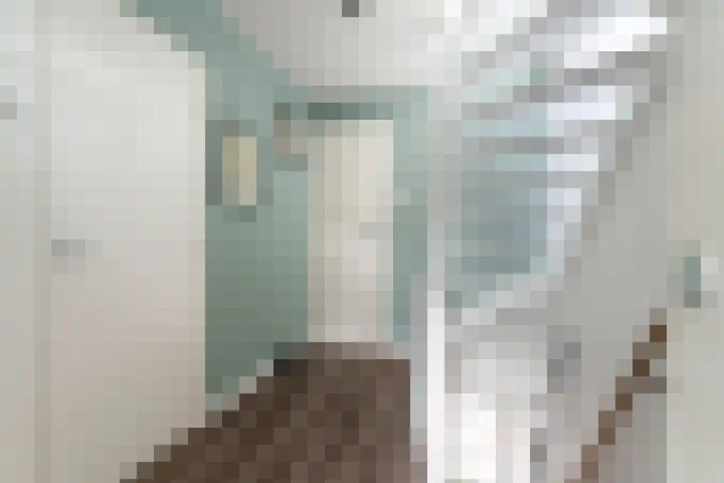 Pastoor Vinkesteynstraat 50 Kwintsheul thumbnail 20