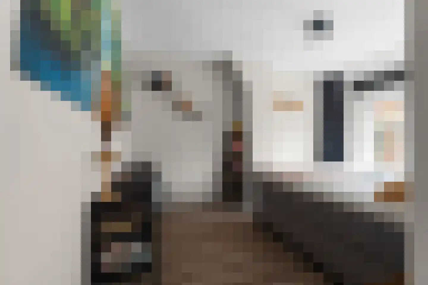Pastoor Vinkesteynstraat 50 Kwintsheul thumbnail 21
