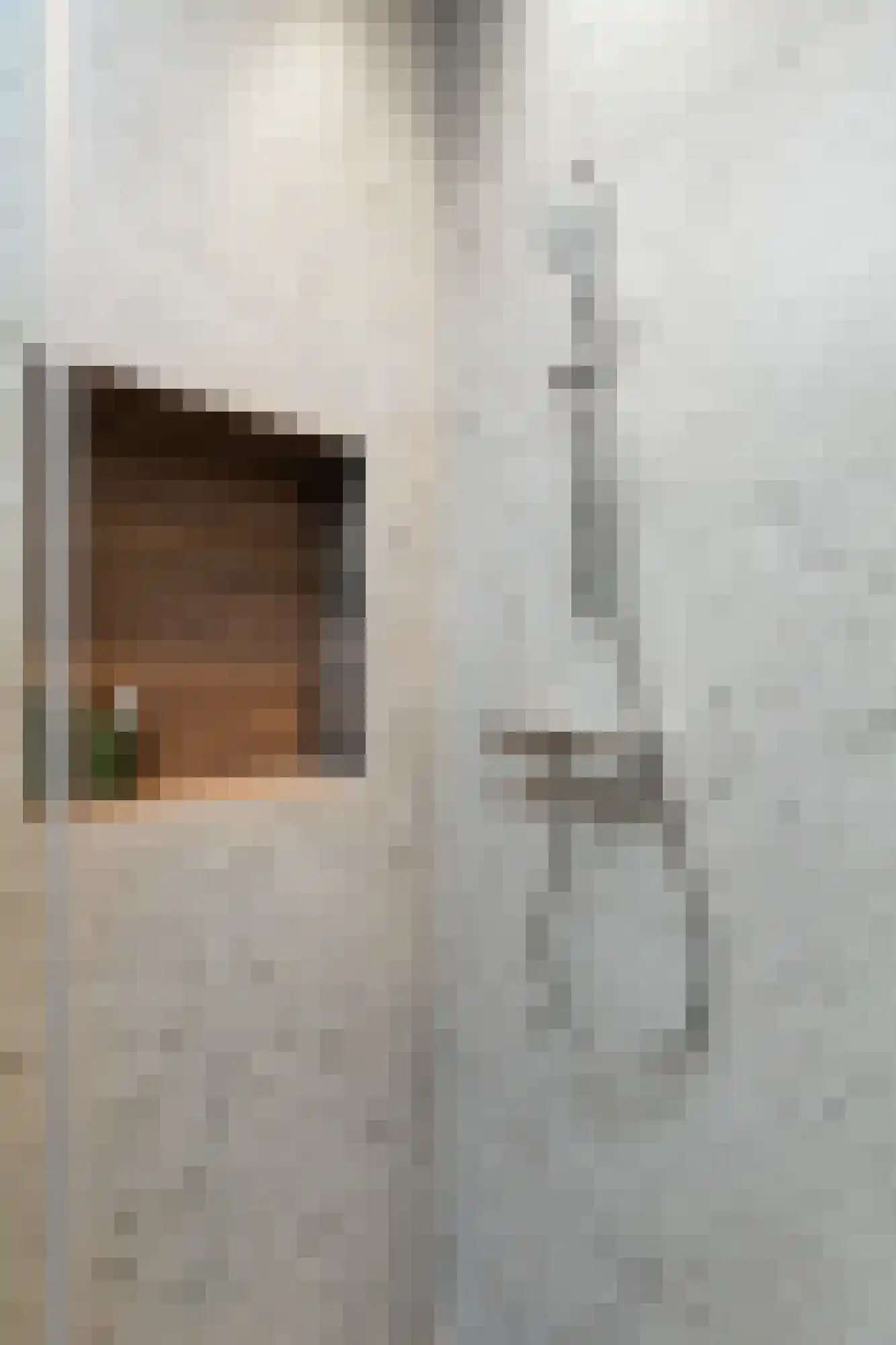 Pastoor Vinkesteynstraat 50 Kwintsheul thumbnail 26
