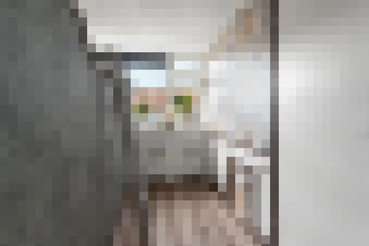 Pastoor Vinkesteynstraat 50 Kwintsheul thumbnail 31