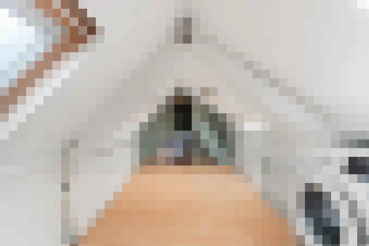 Pastoor Vinkesteynstraat 50 Kwintsheul thumbnail 33