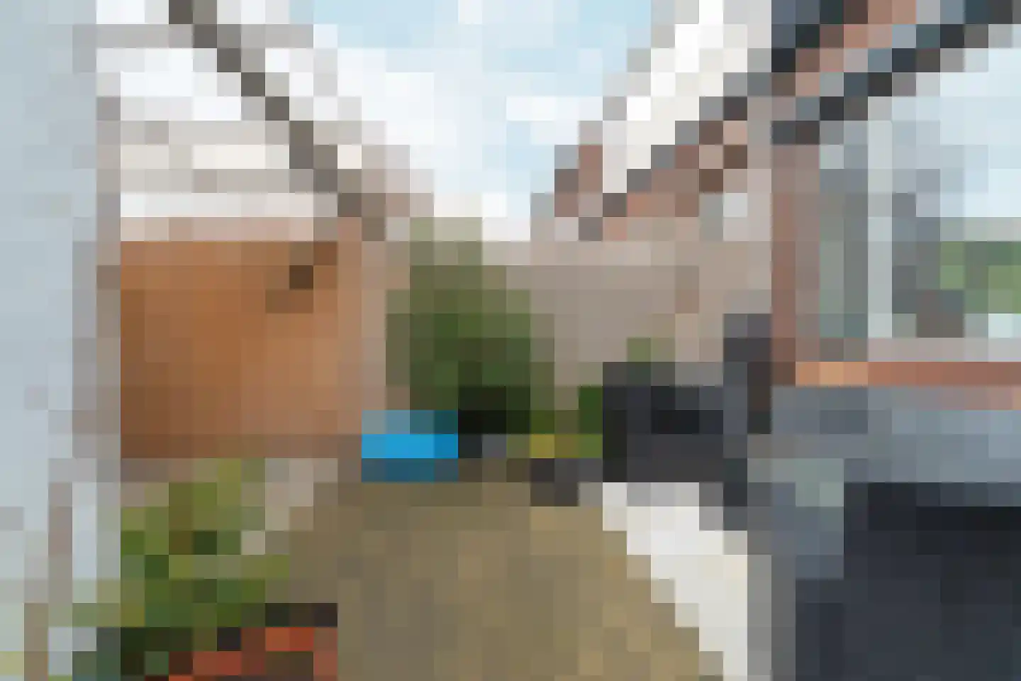 Pastoor Vinkesteynstraat 50 Kwintsheul thumbnail 36