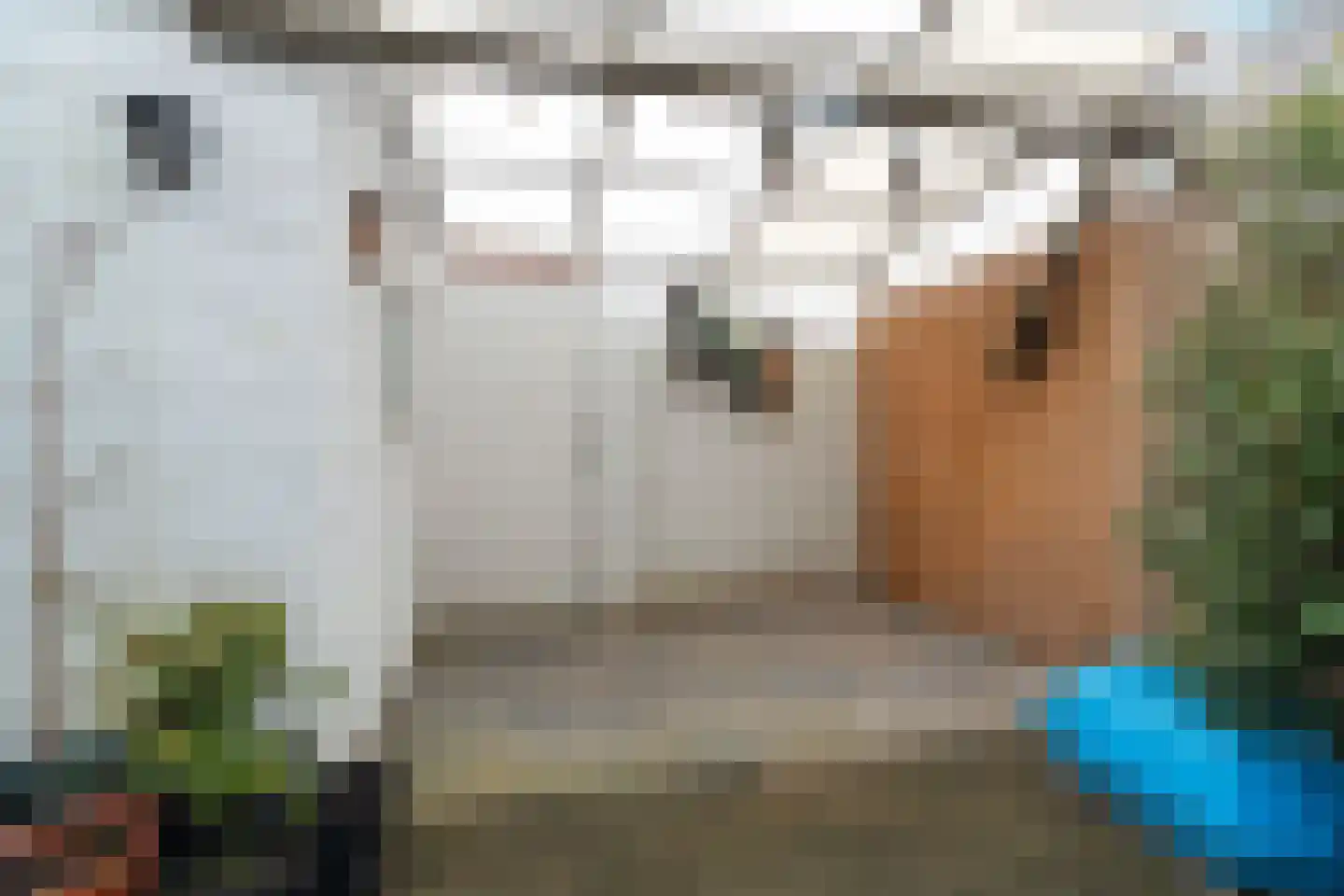 Pastoor Vinkesteynstraat 50 Kwintsheul thumbnail 37