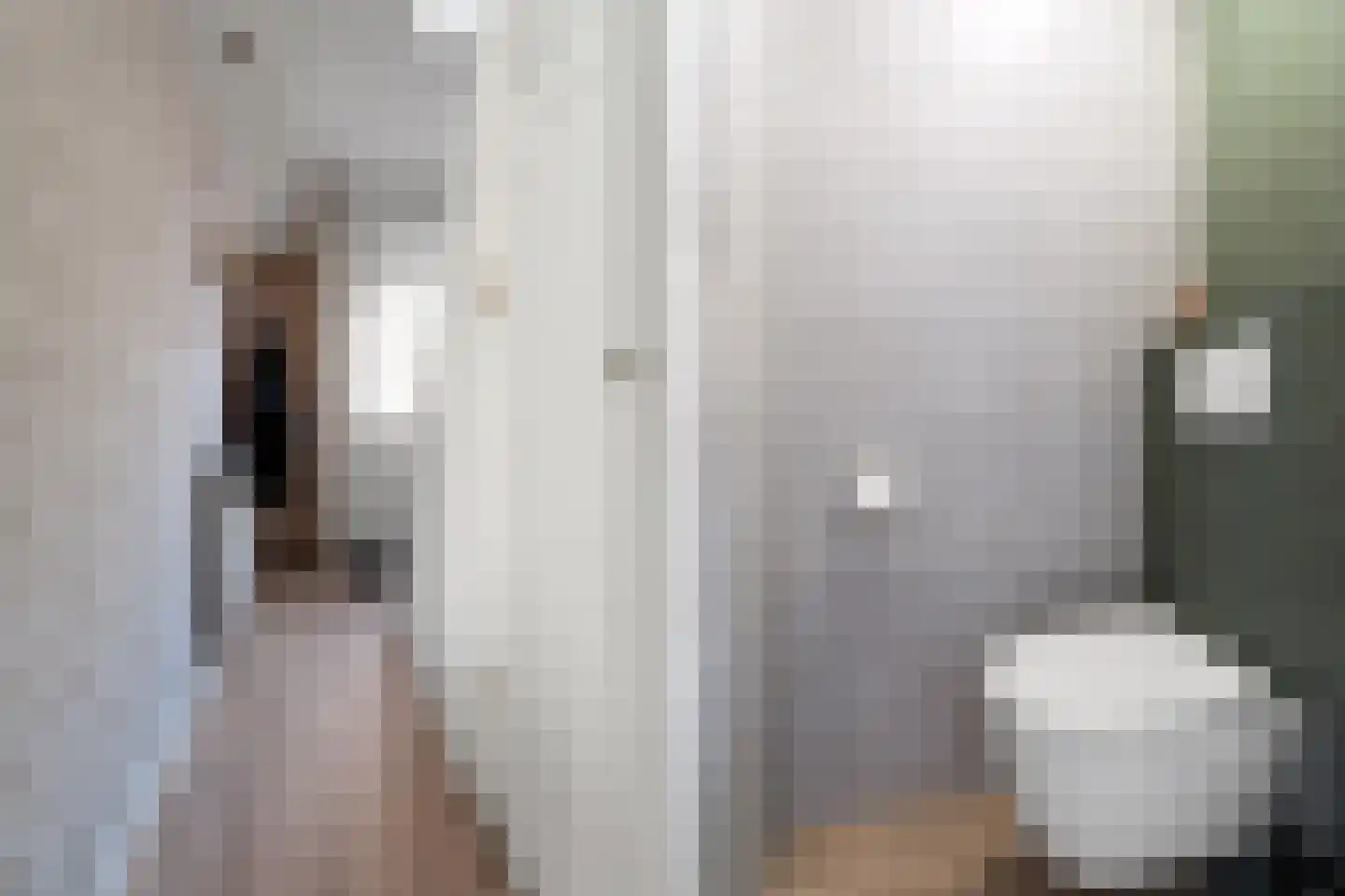 Pastoor Vinkesteynstraat 50 Kwintsheul thumbnail 7