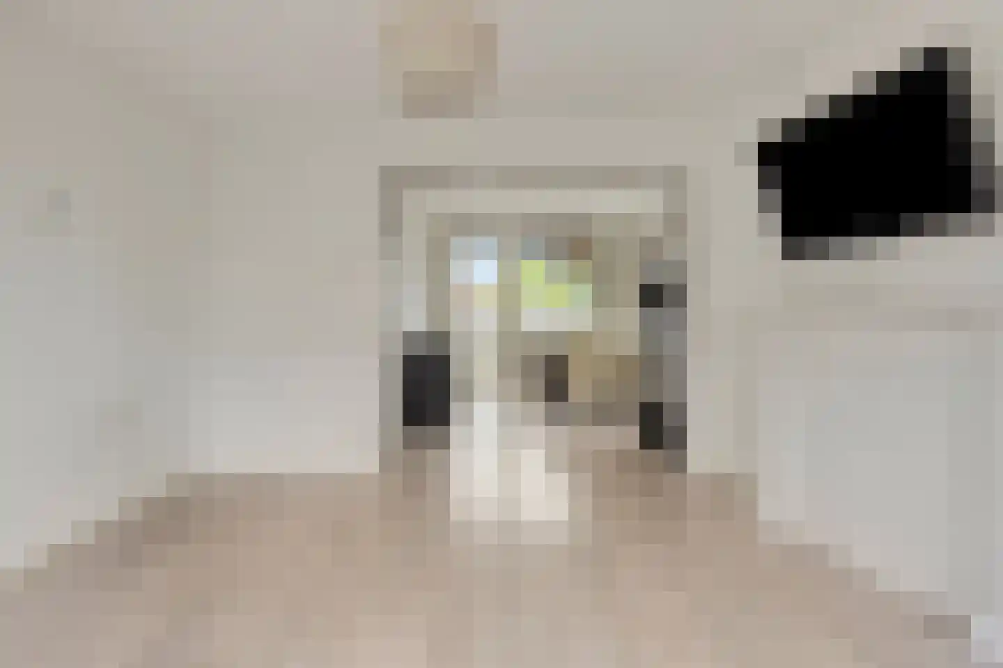 Pastoor Vissersstraat 22 Oss thumbnail 5