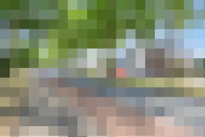 Pastoor Vissersstraat 6 Oss thumbnail 22