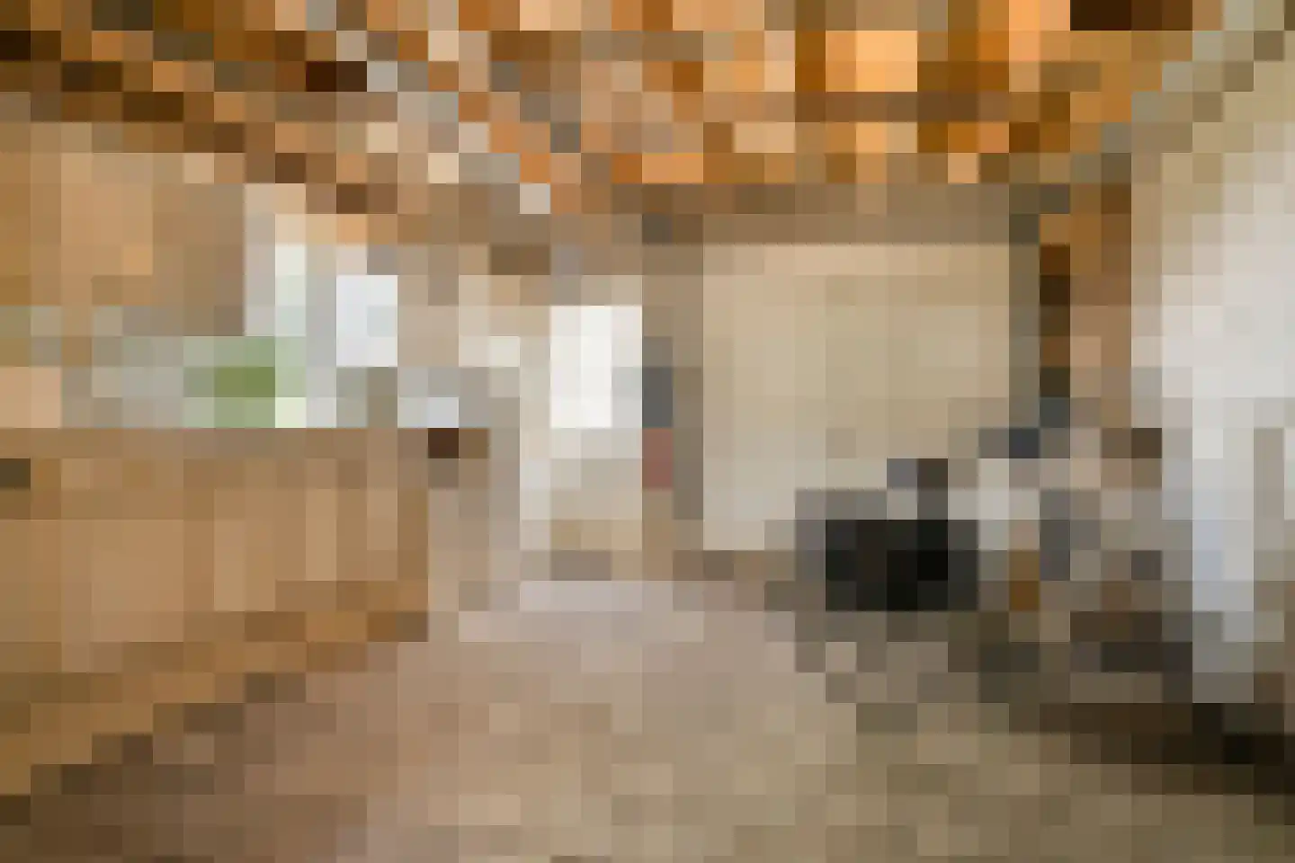 Pastoor Vogelsstraat 7 Ommel thumbnail 39