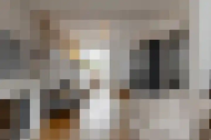 Pastoor Vonckenstraat 109 Geleen thumbnail 6